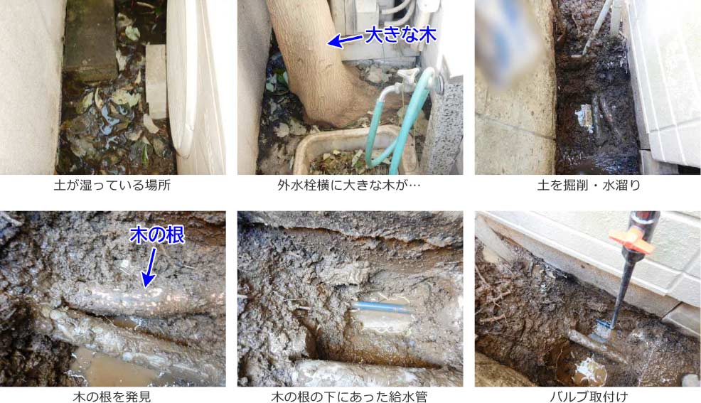 木の根に潰された給水管　神奈川県横浜市港北区