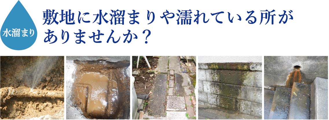 敷地に水溜まりや濡れているところがありませんか？