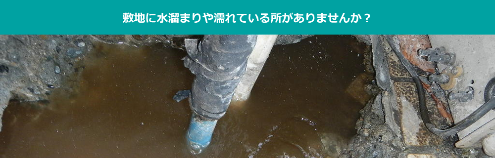 敷地に水溜まりや濡れている所がありませんか？