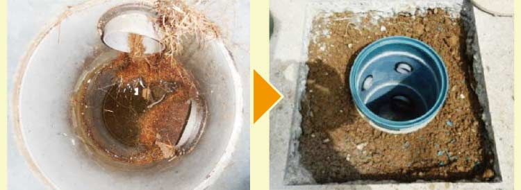 排水マスに木の根がつまって、プラスチック排水マスに交換