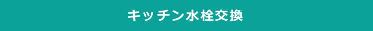 キッチン水栓交換 出張費無料 お見積無料