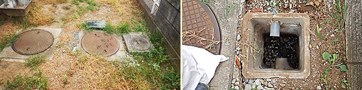 排水桝の交換
