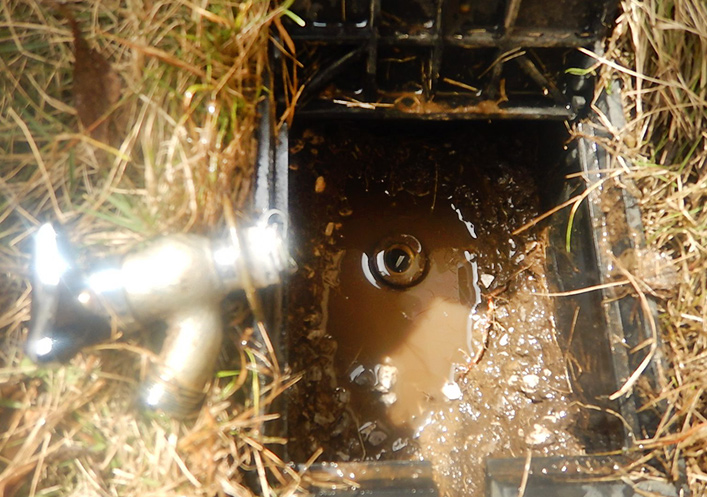 【写真】散水栓のところから水漏れ