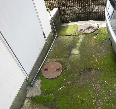 地面の陥没とカビやコケ