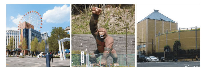 理由4関連画像